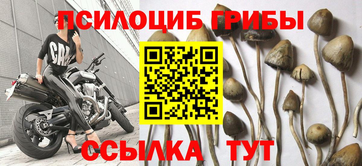 Галлюциногенные грибы ЛСД Ленинск-Кузнецкий